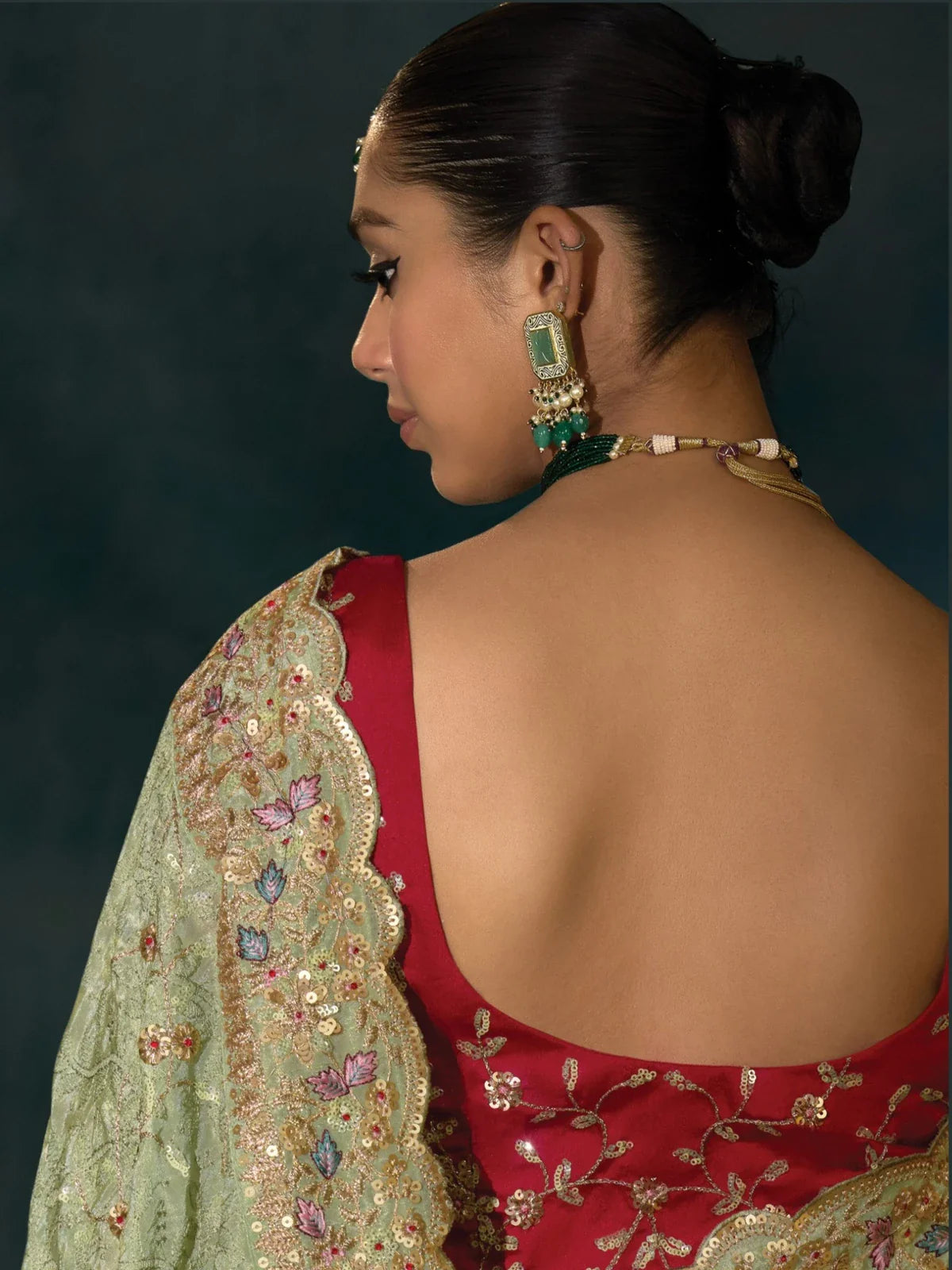 Tarani banarasi saree with red silk blouse embroidery back view