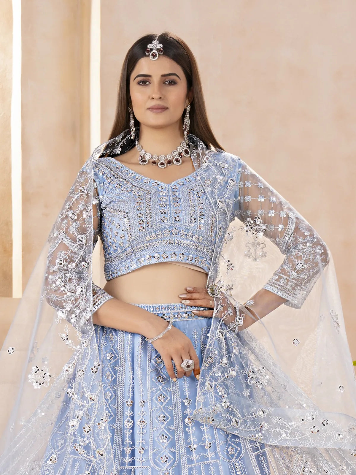 Tarani premium butterfly net lehenga close-up showing blouse and neckline embroidery