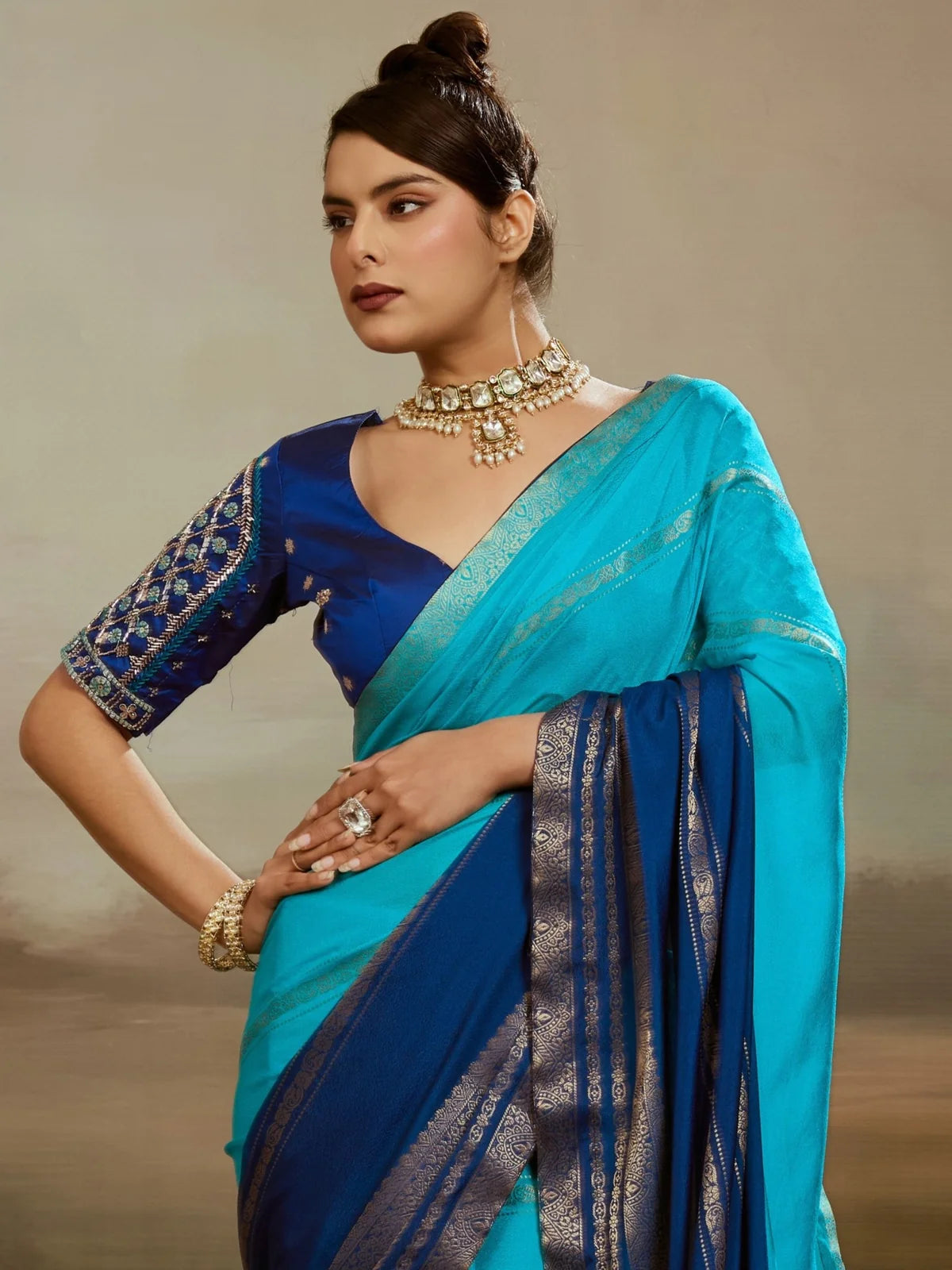 Tarani Urmika sky blue chiffon saree upper body view showing designer handwork blouse