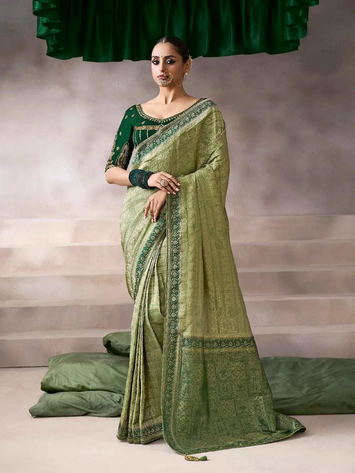 Tarani green chiffon silk saree with embroidered festive blouse in full-view
