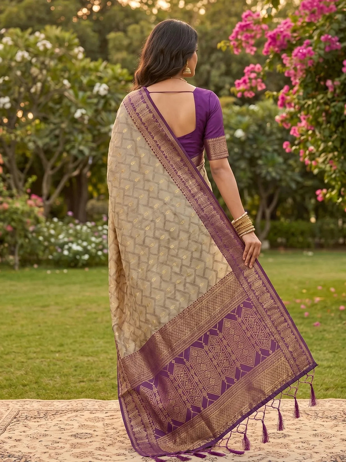 Tarani beige and purple cotton silk zari border saree back view with rich pallu design