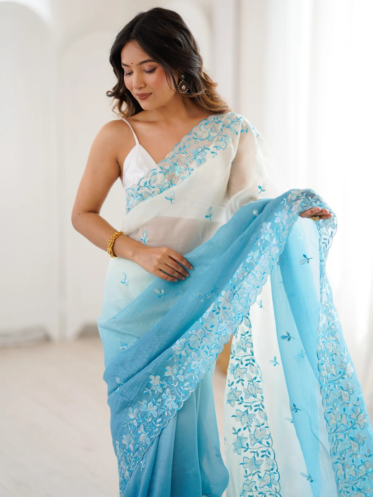 Tarani Samata upper body view of sky blue embroidered crunchy saree with elegant border
