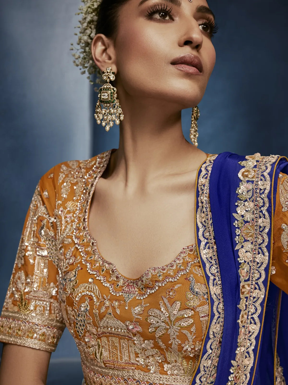 Tarani royal blue fancy saree closeup view highlighting premium embroidery and blouse detailing