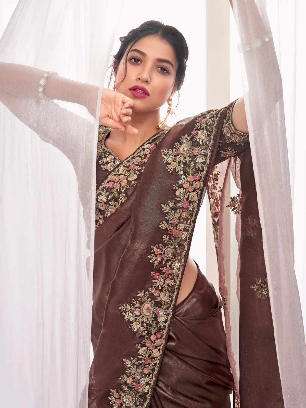 Tarani elegant brown fancy saree close upper body view with designer embroidery