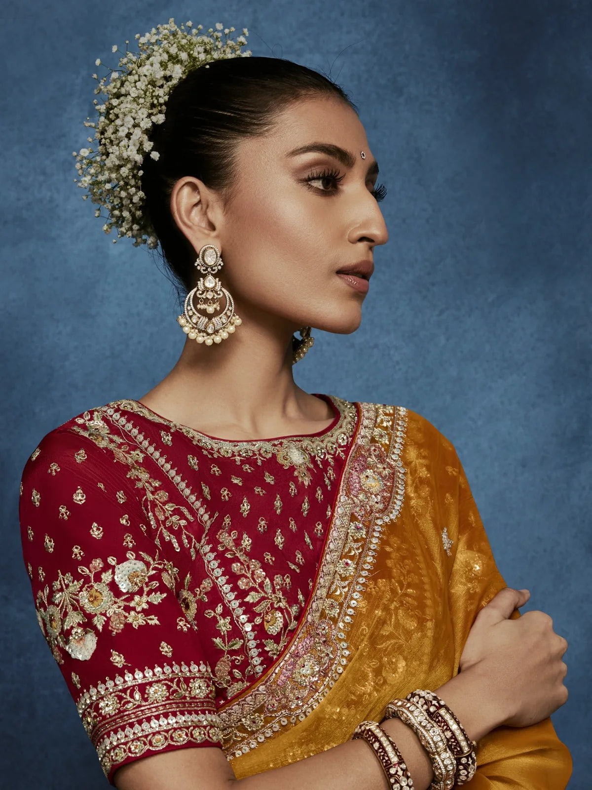 Tarani premium saree side profile showcasing embroidered blouse and elegant border detailing