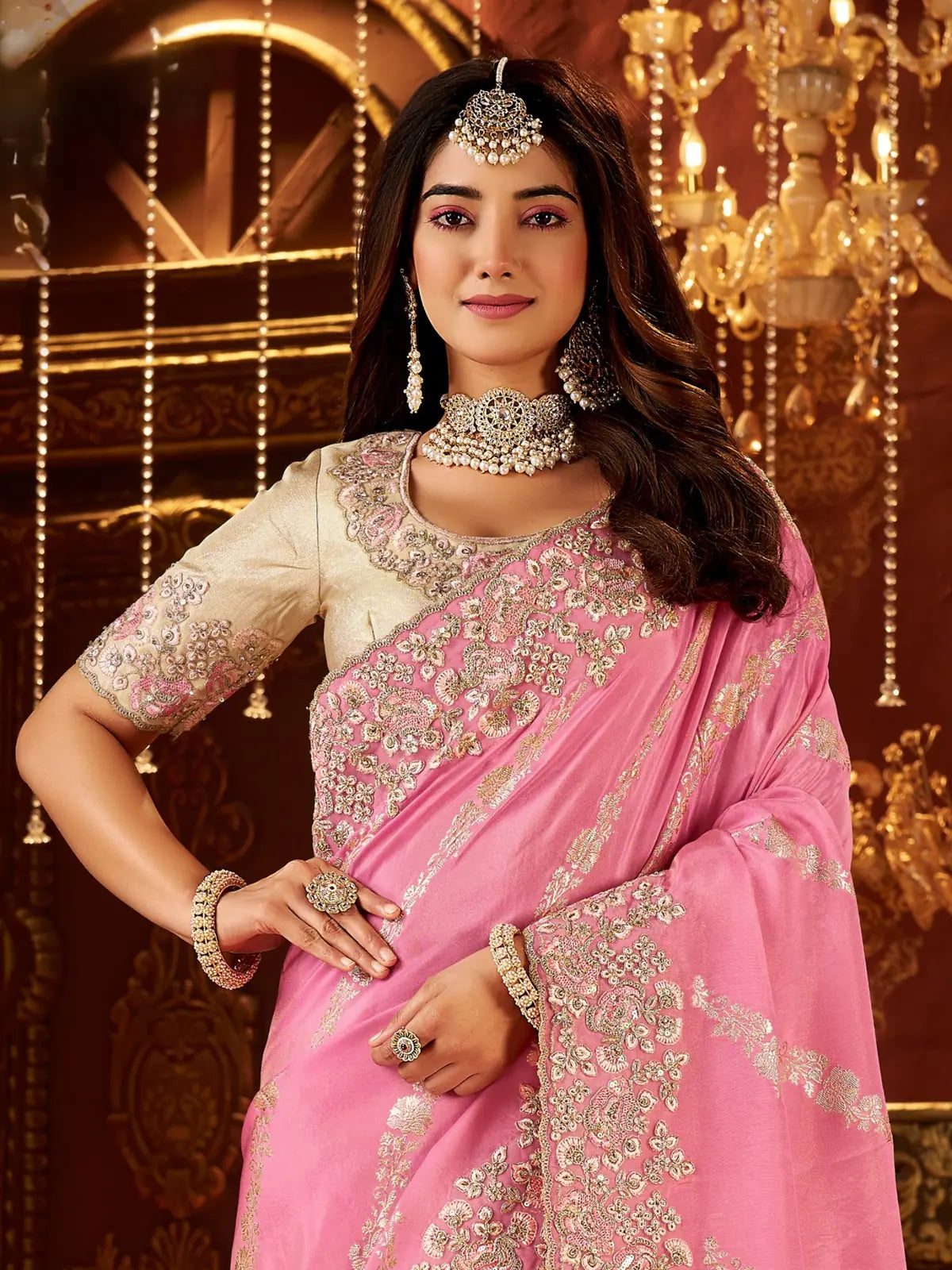 Tarani fancy pink saree with embroidered floral blouse and jewelry styled upper body view