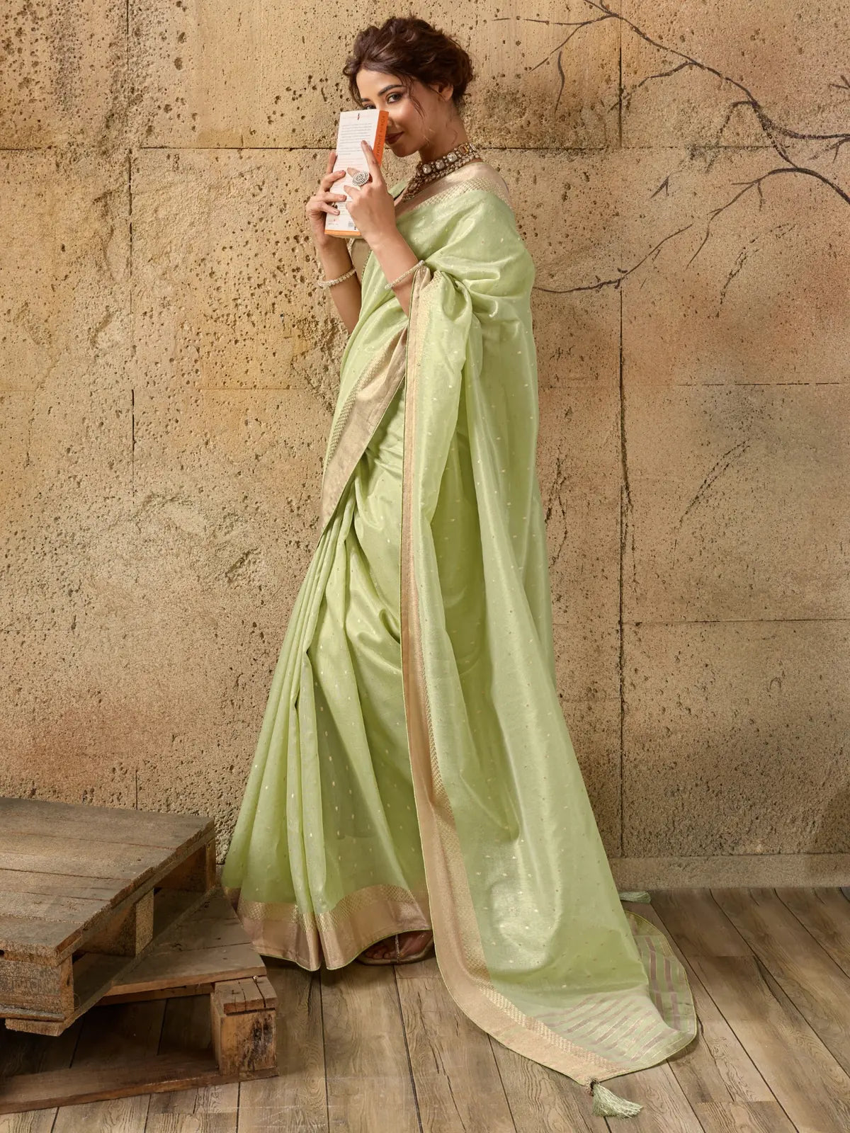 Tarani light green Tissue Linen saree with zari border side view