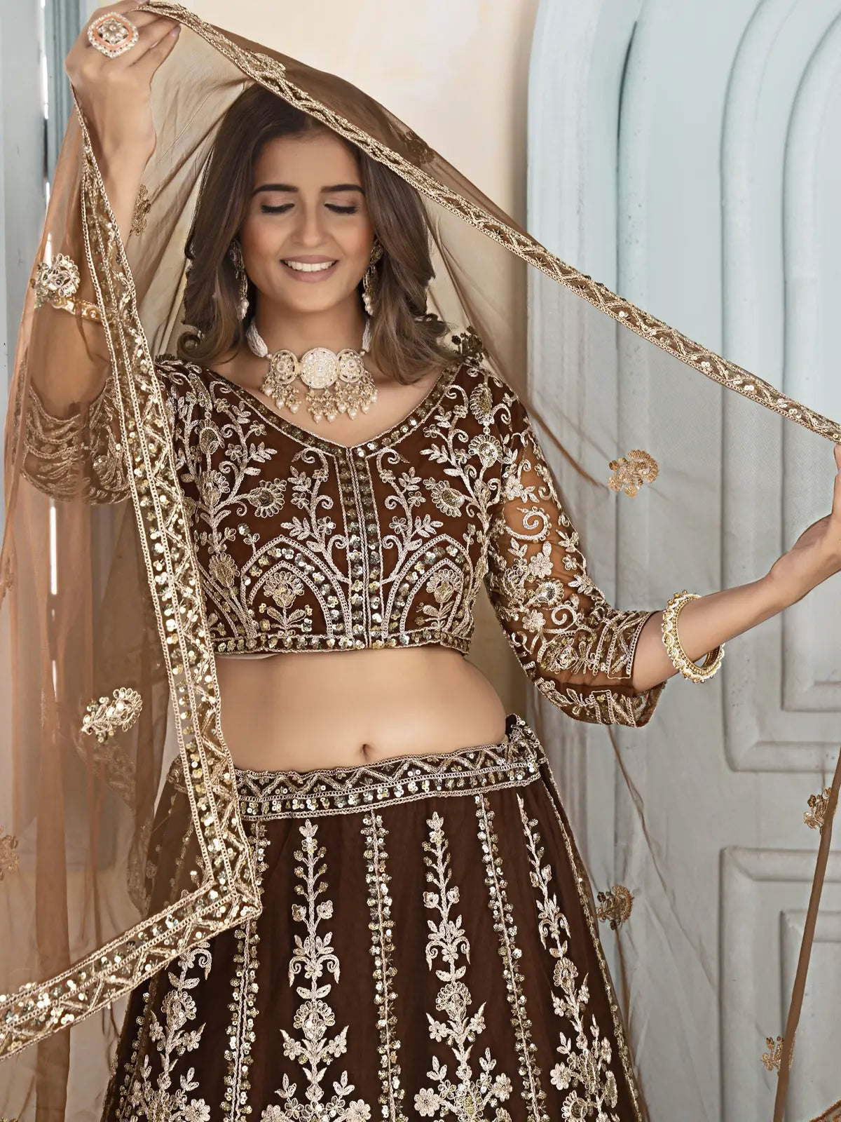Tarani brown net lehenga front view with elegant detailing