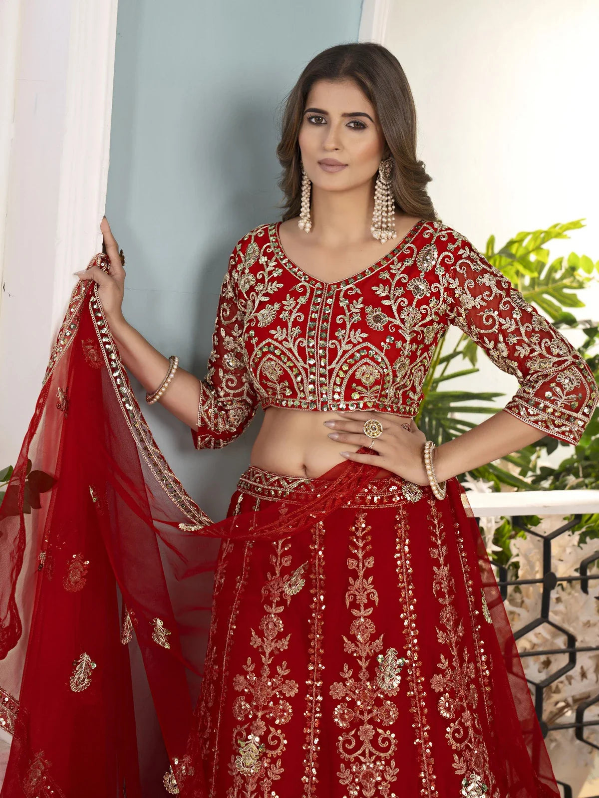 Tarani designer red net lehenga with heavy embroidery front pose