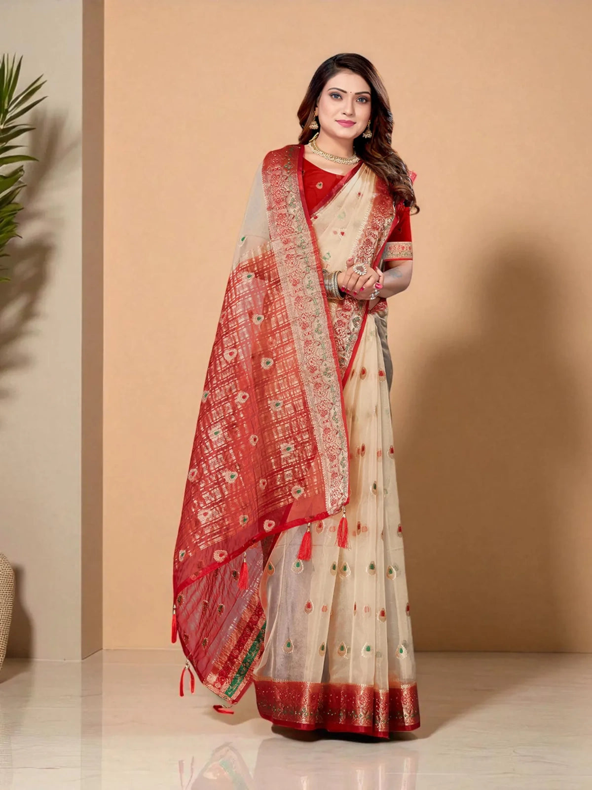Kavya Organza Saree - TARANI