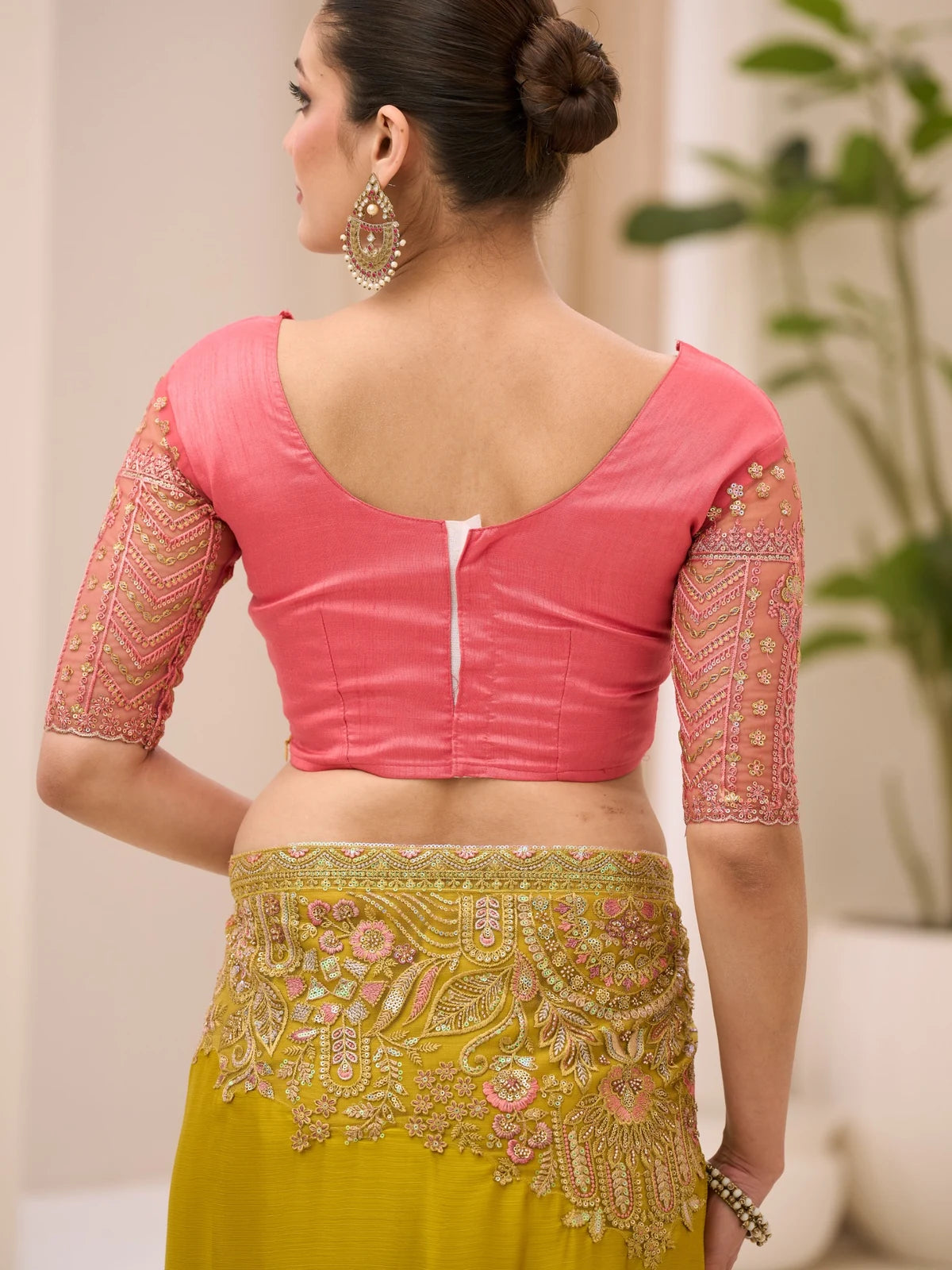 Tarani Ekanshi blouse back design and embroidered saree back view
