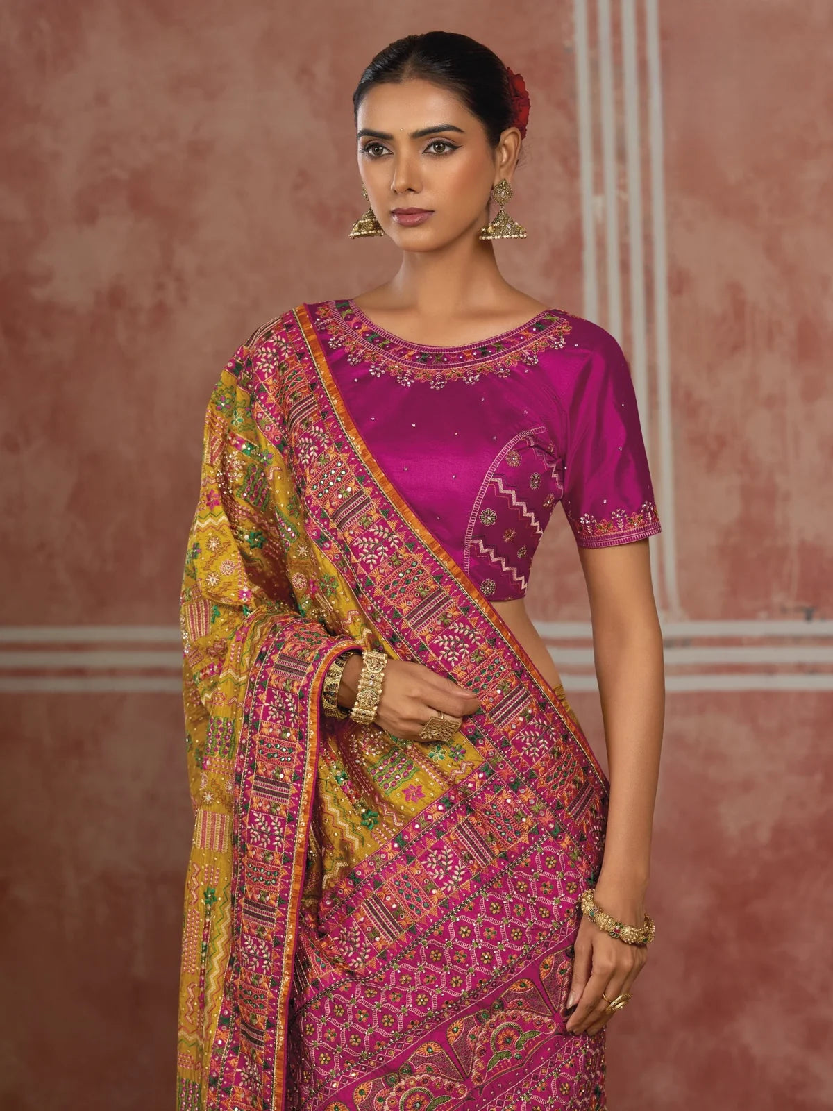 Tarani Shana Silk saree upper body view showing blouse and border detailing
