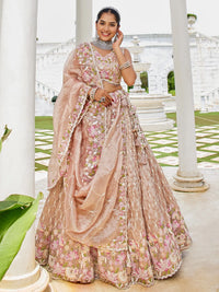 Aaralika Silk Lehenga