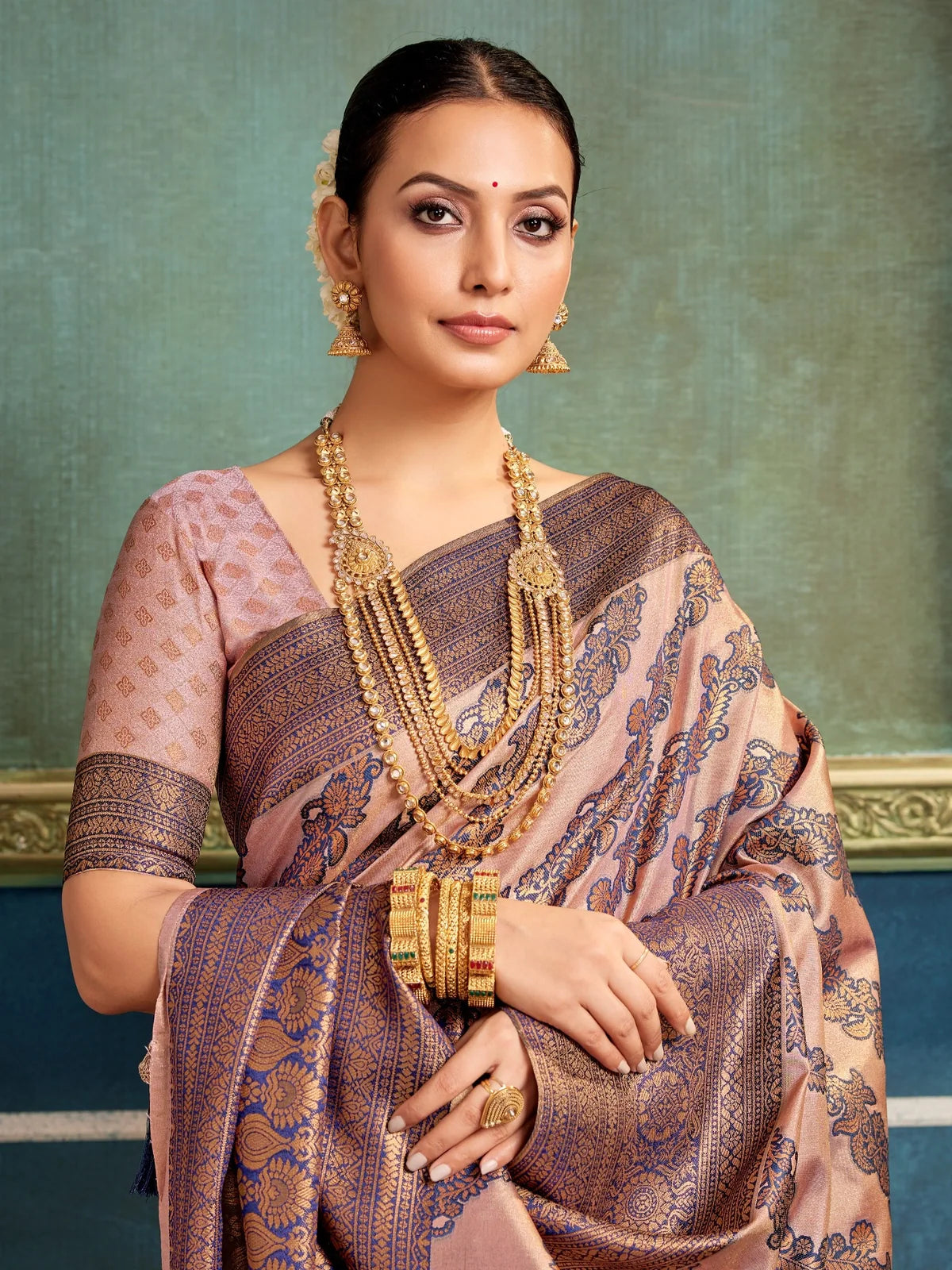 Tarani rich brown silk saree showing upper body view with traditional jewellery styling