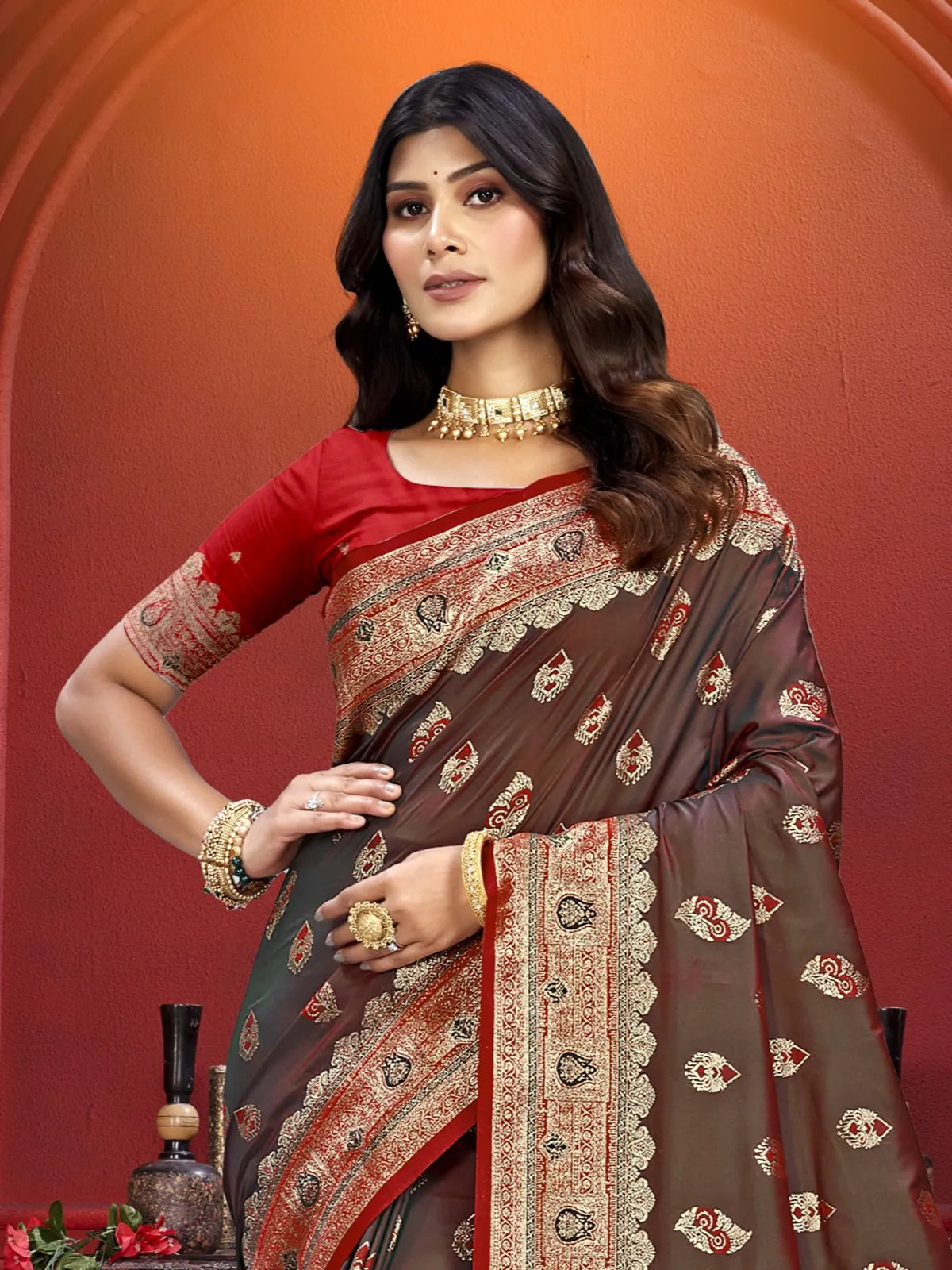 Tarani brown silk saree upper body view showing rich zari border and red blouse
