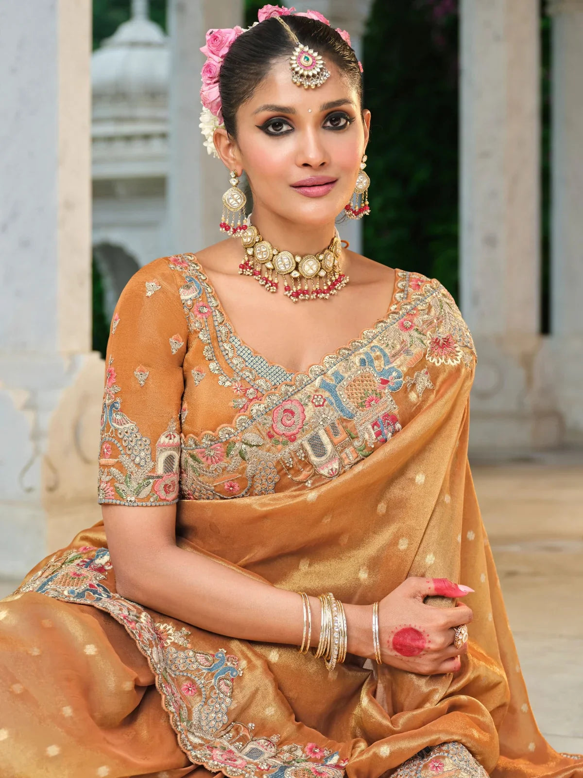 Tarani golden embroidered zari silk saree close-up showing blouse and jewellery styling
