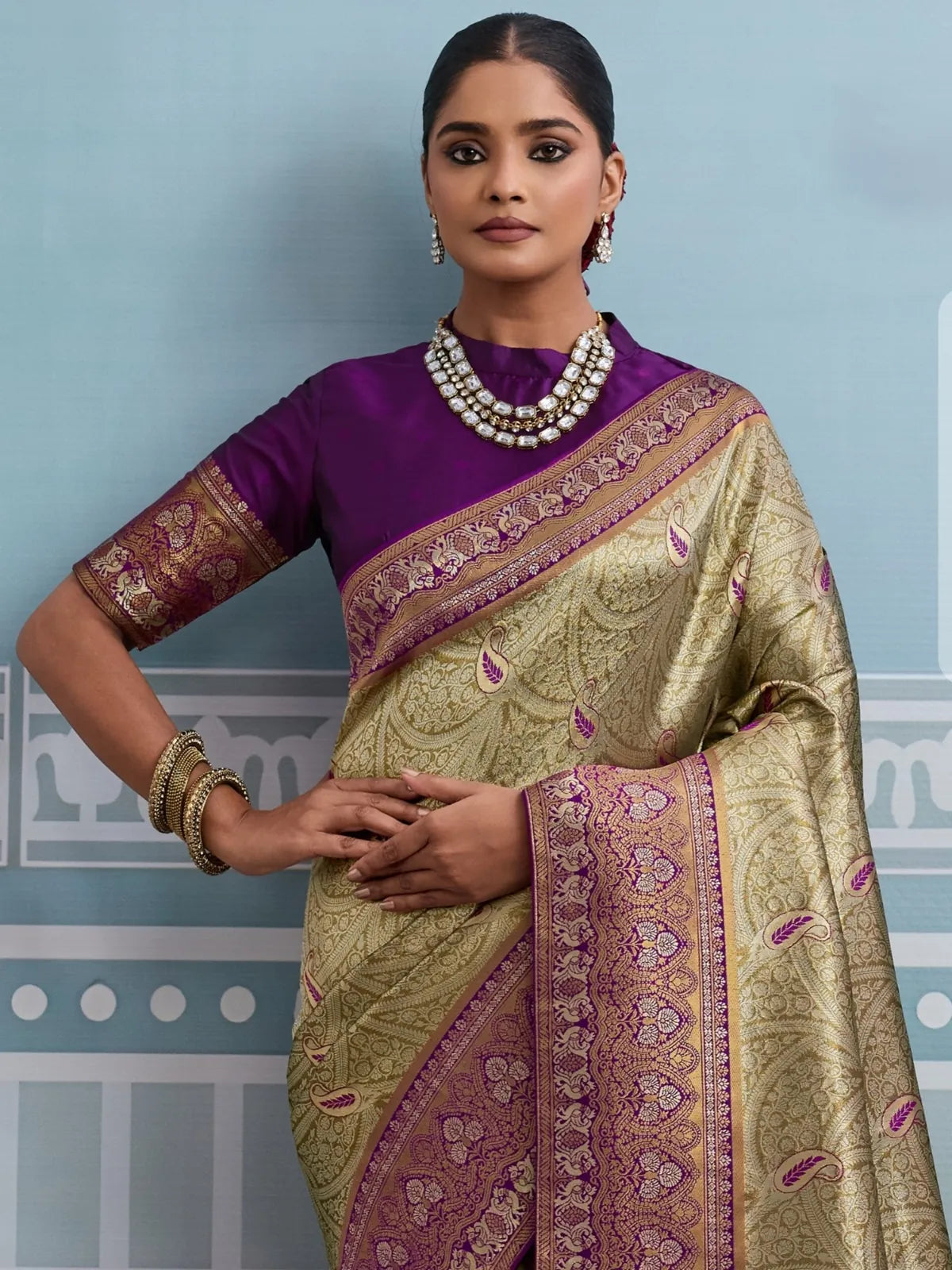 Tarani elegant golden silk saree upper body view with rich meenakari border
