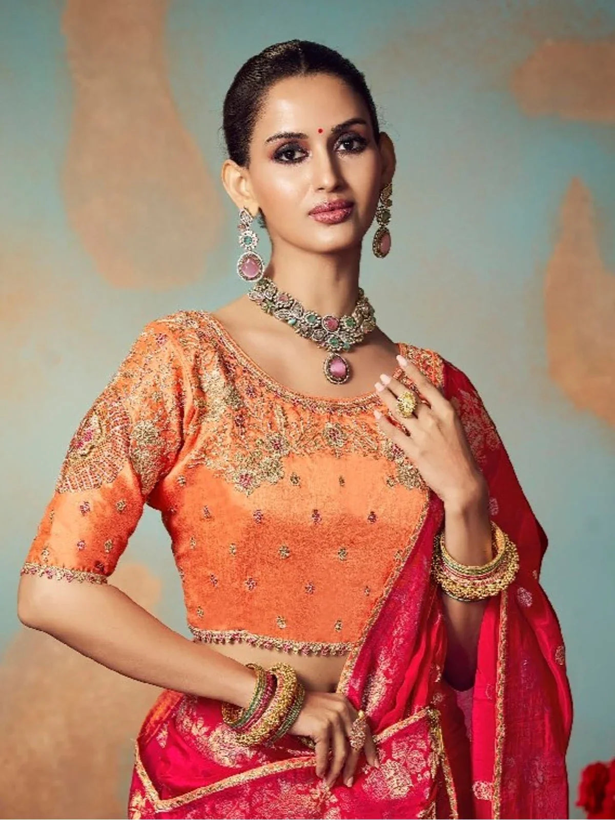 Tarani embroidered blouse close-up paired with red silk zari saree for party and festive occasions