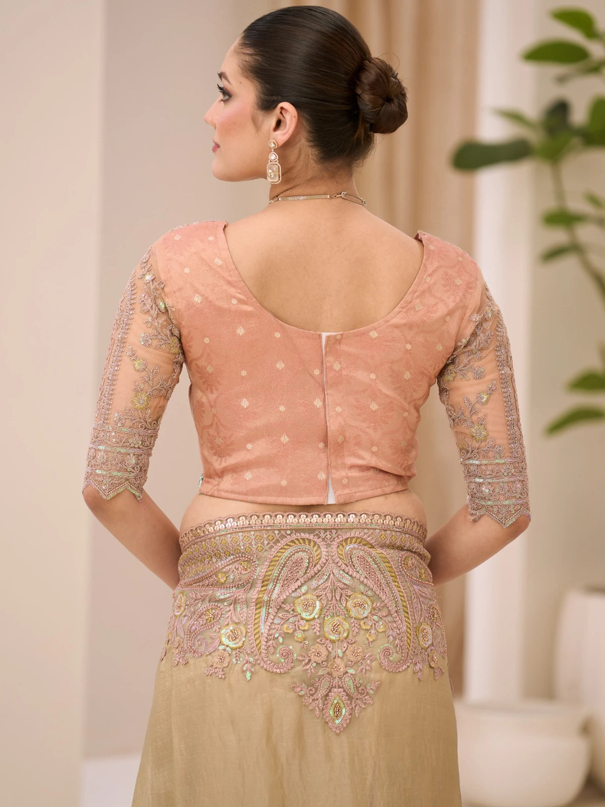 Tarani Kumudini back view of brocade zari blouse paired with sage green Sunsilk tissue saree