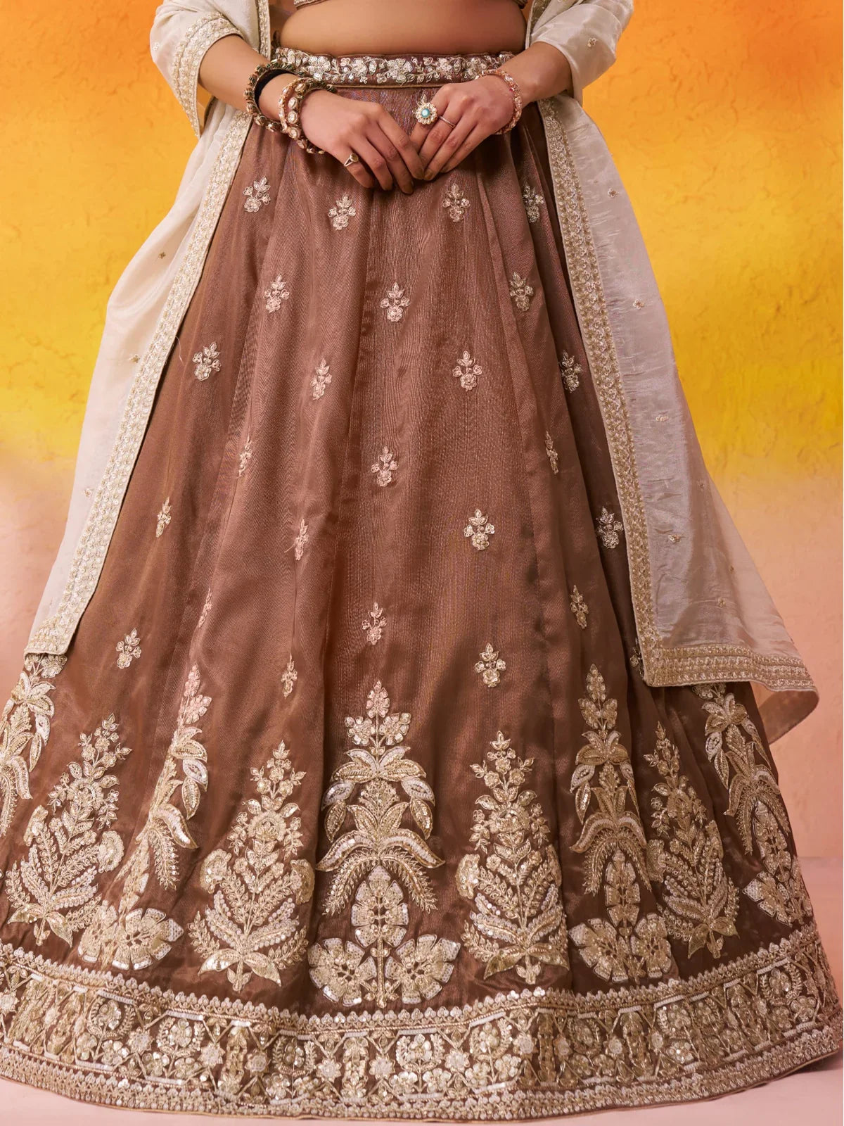 Tarani closeup of tissue lehenga showcasing golden zari border and motifs