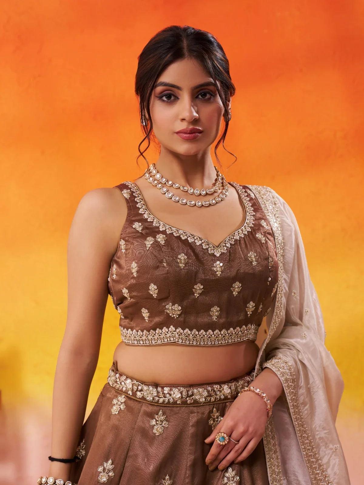 Tarani tissue lehenga close-up showing blouse neckline and detailed embroidery