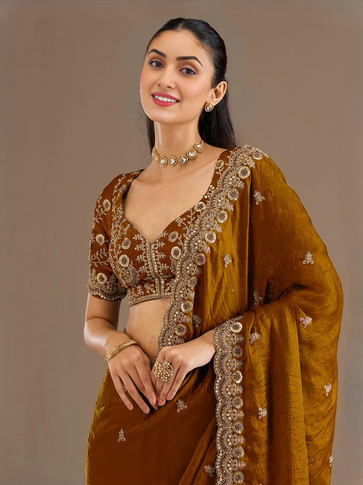 Tarani Rajeshri golden tissue saree upper body view with embroidered blouse and border