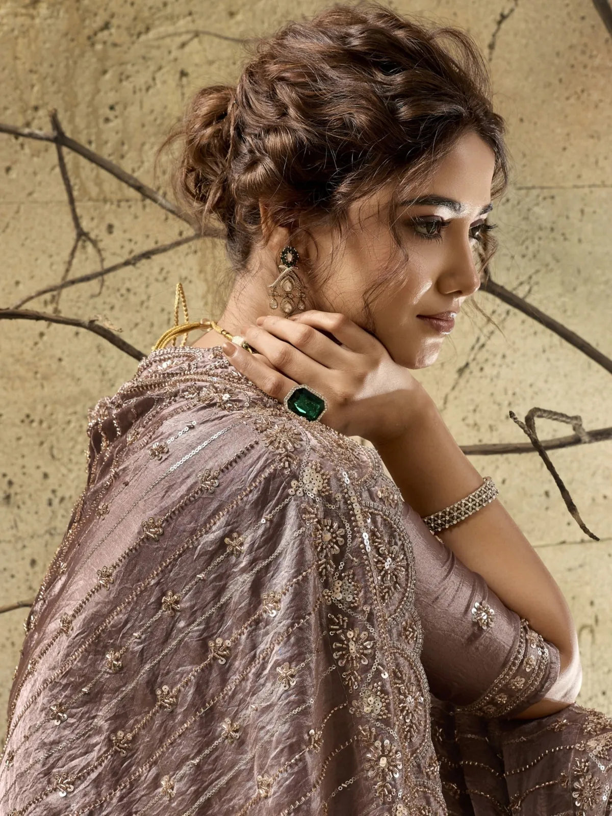 Tarani taupe Velvet Satin saree closeup highlighting bead sequins pearl embroidery