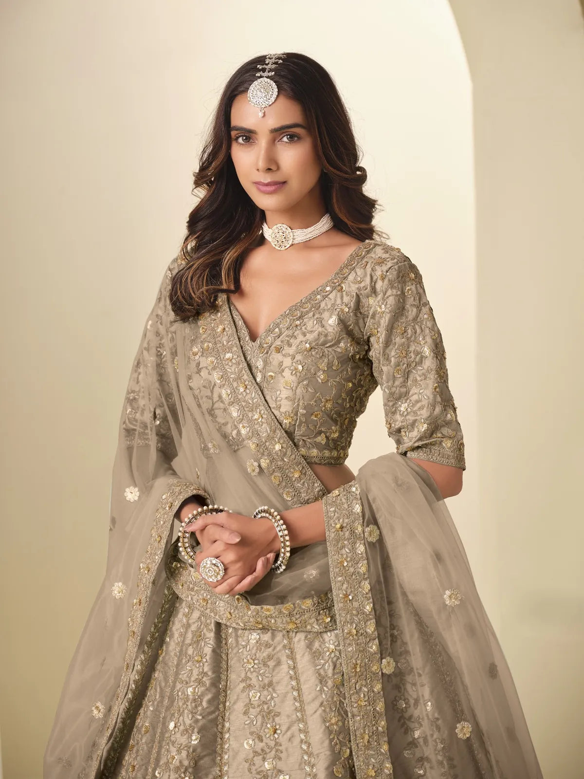 Tarani art silk beige lehenga with blouse and embroidered dupatta front pose