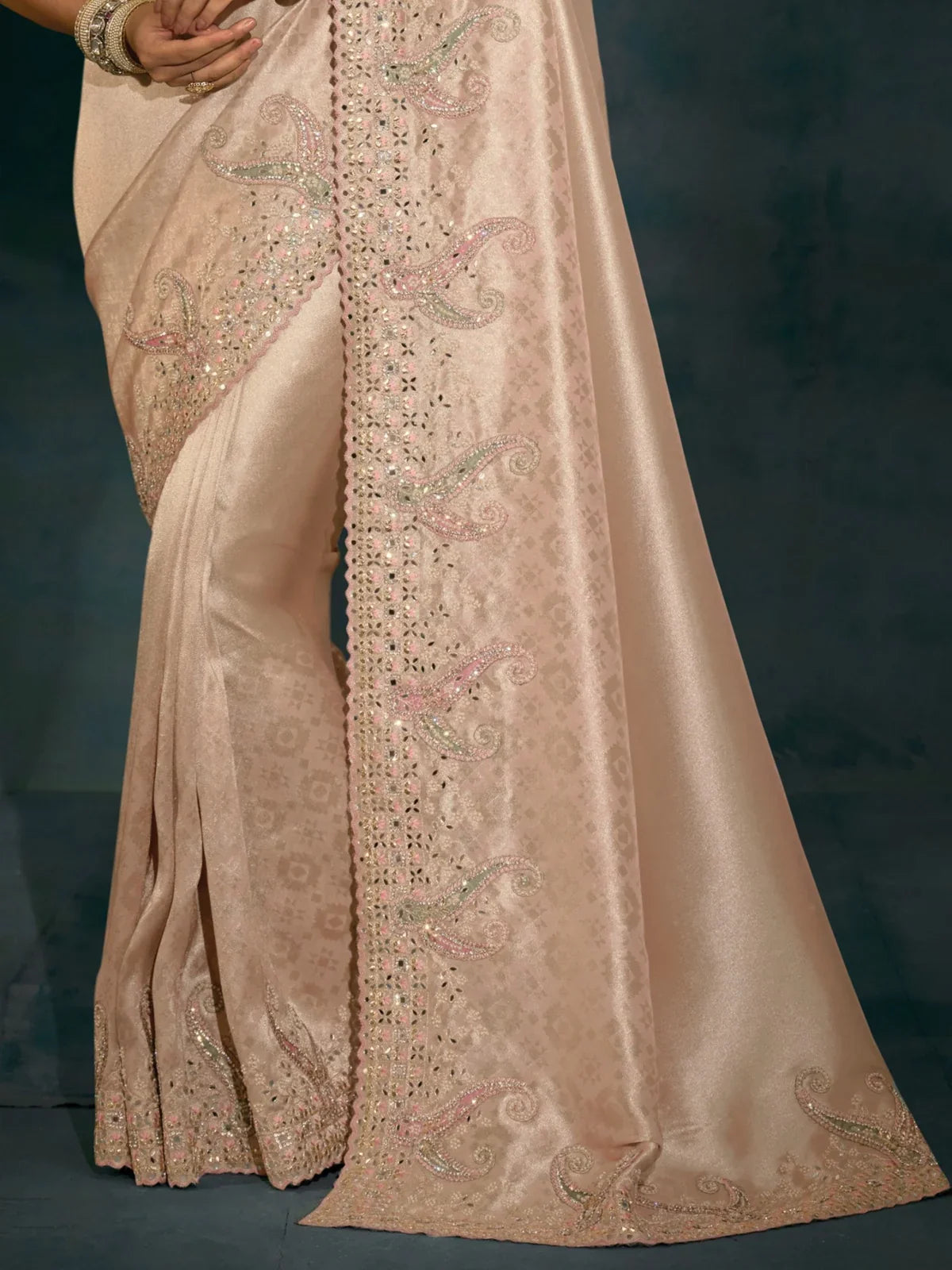 Tarani beige banarasi saree pallu close up with intricate border and zarkan heavy work