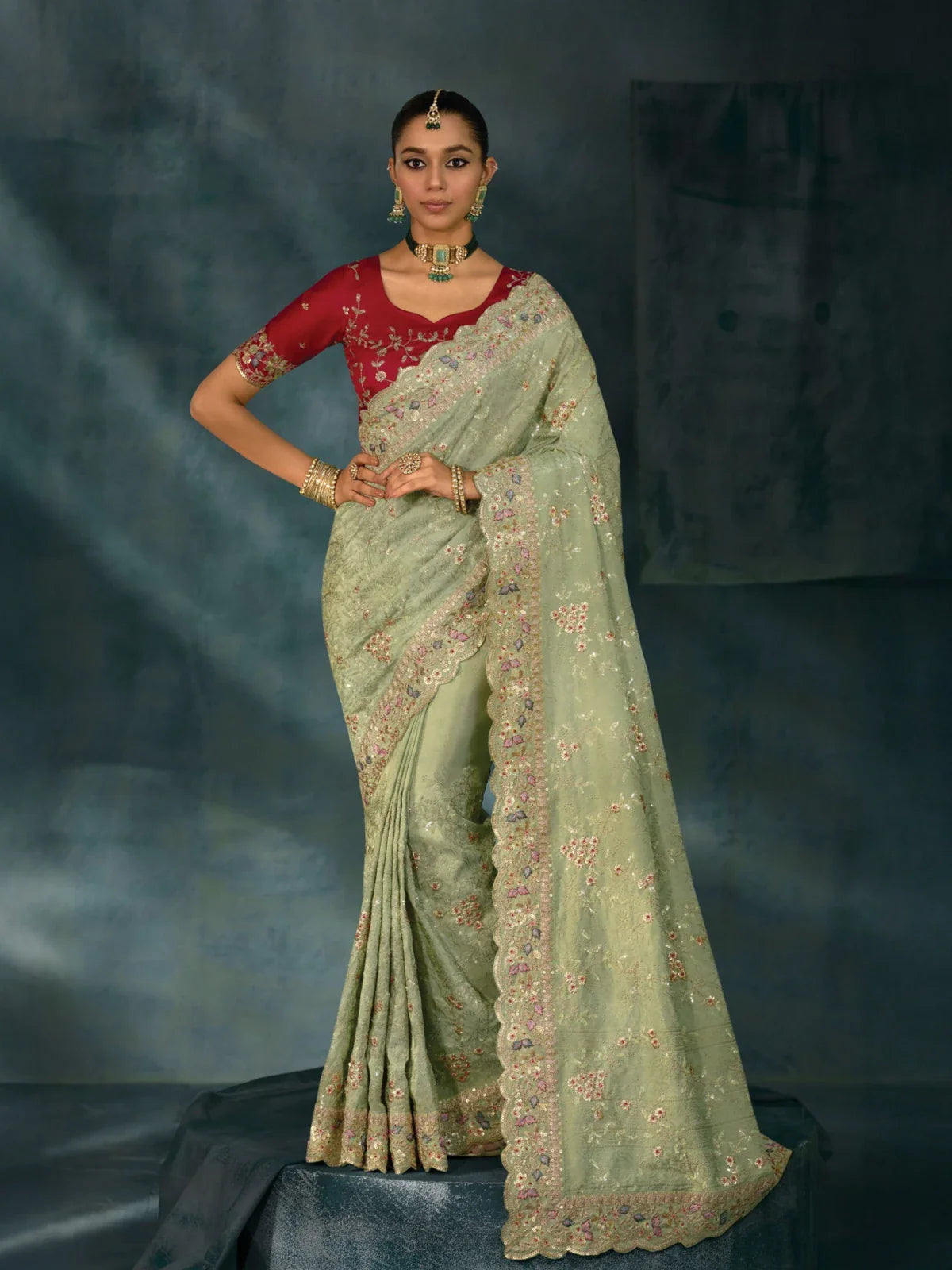 Tarani green banarasi saree with heavy lucknowi zarkan work full view