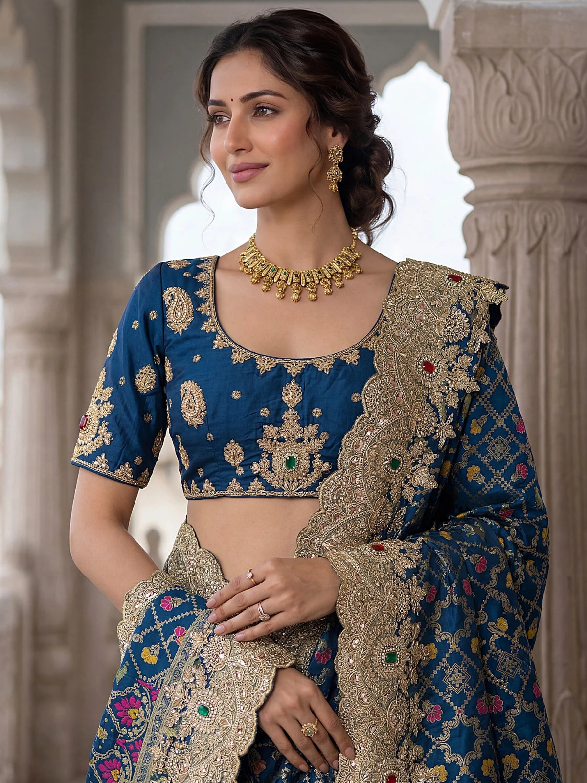 Tarani Nalika Banarasi silk saree upper body view showing embroidered blouse and border