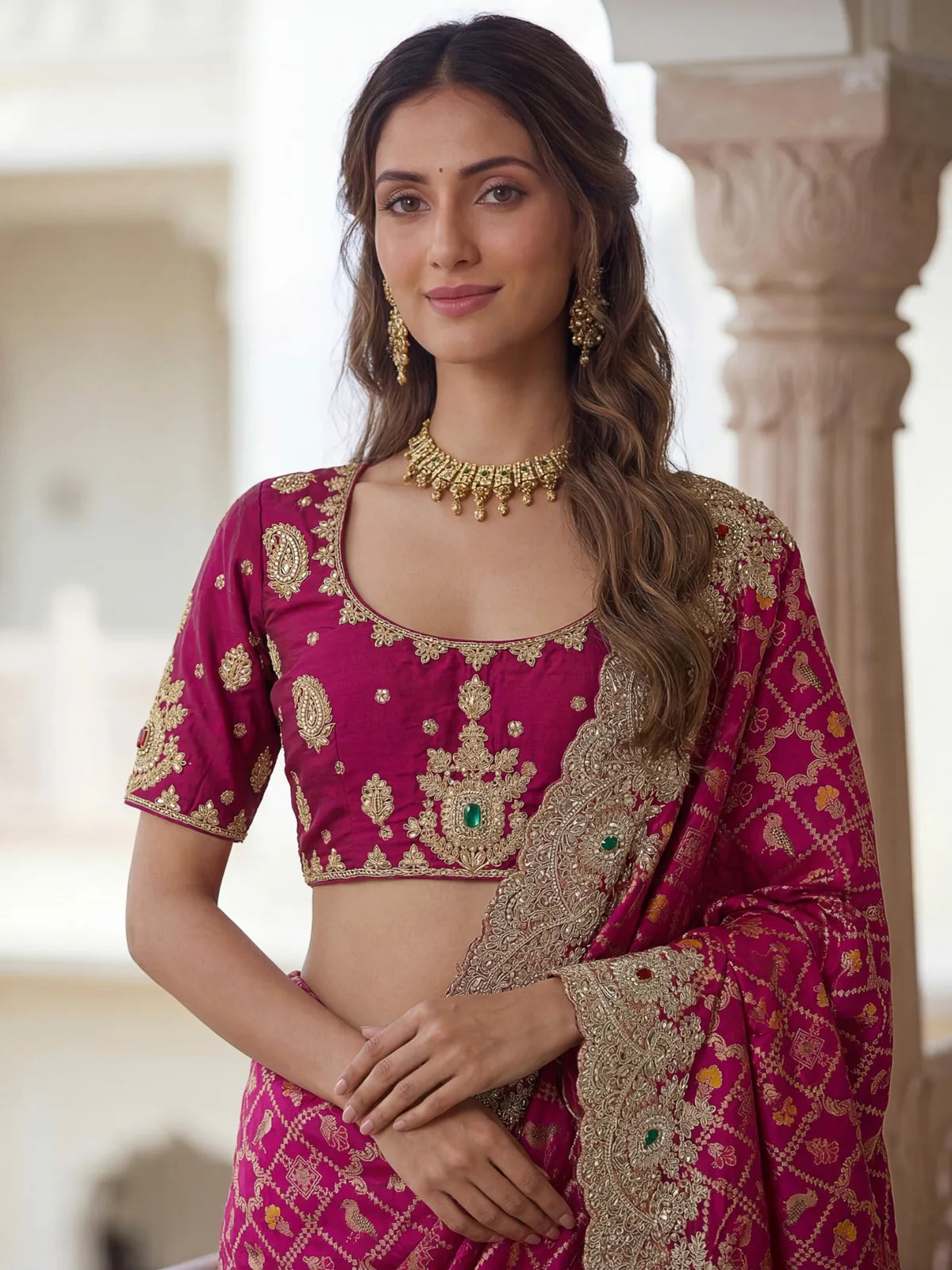Tarani Madhura Banarasi silk saree upper body view with embroidered blouse and stone work details