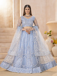 Upalikavati Butterfly Net Lehenga