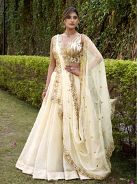 Darshitika Chanda Lehenga