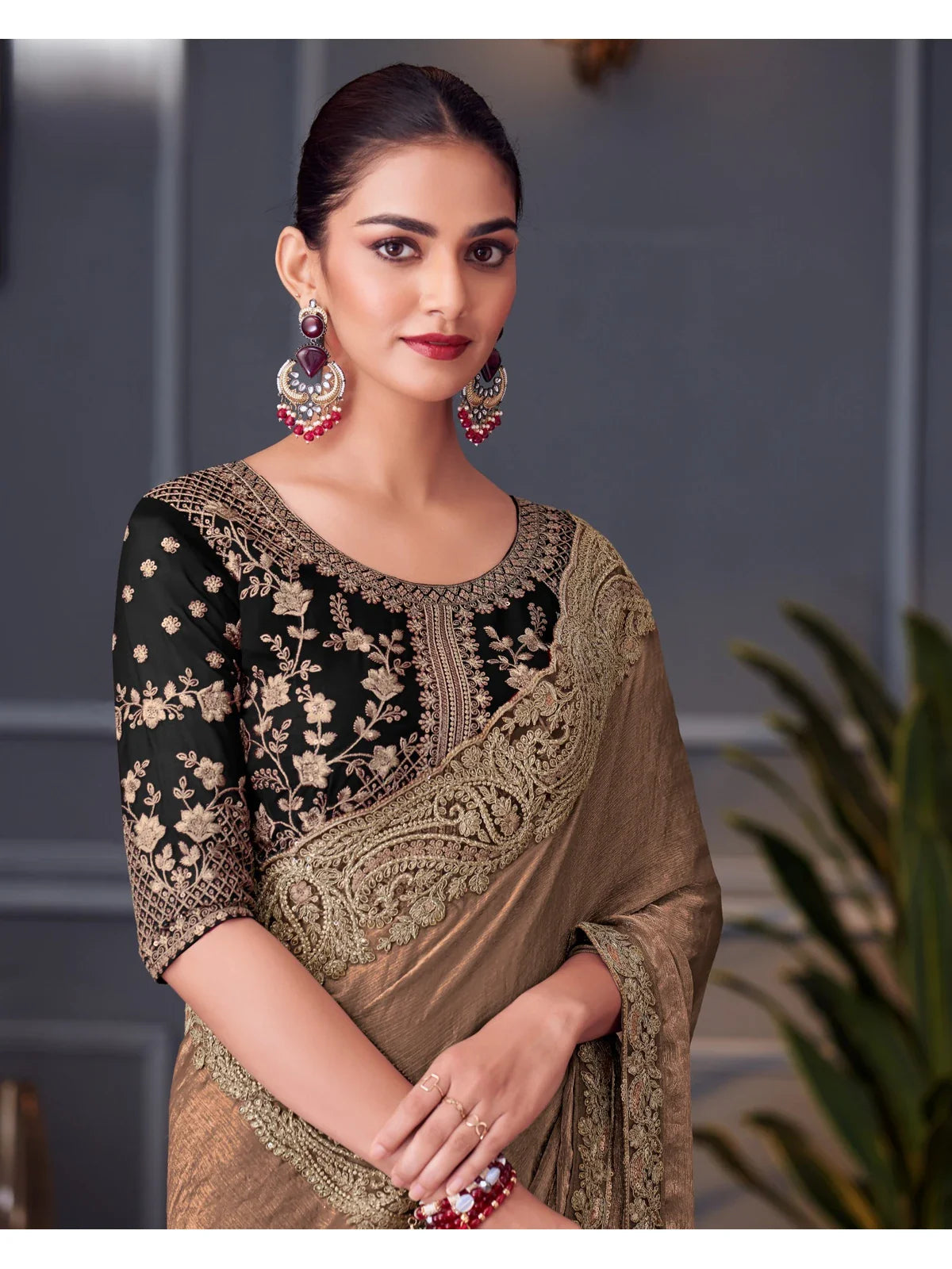Tarani brown chiffon silk saree upper body view with detailed embroidery