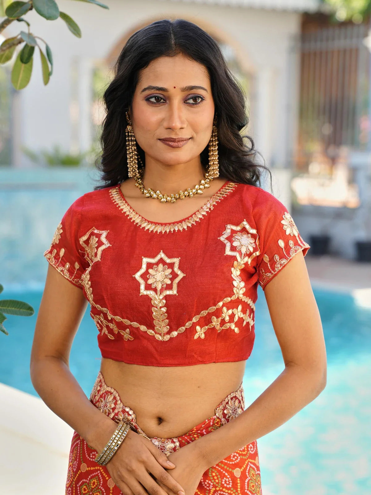 Tarani red saree close-up showing neckline and sleeve embroidery on blouse