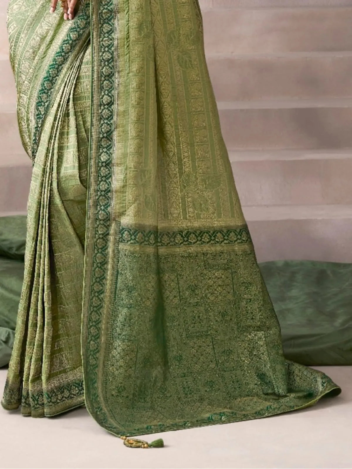 Tarani tarini Green Silk saree close up view for festive party and wedding wear