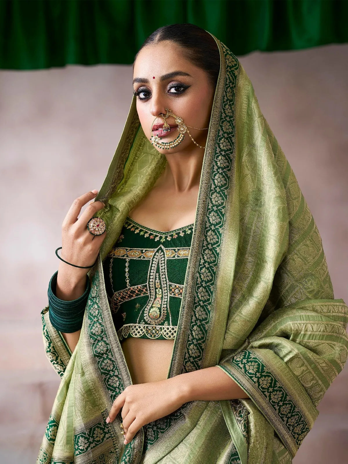 Tarani chiffon silk saree styled for weddings with green embroidered blouse close-up upper body view