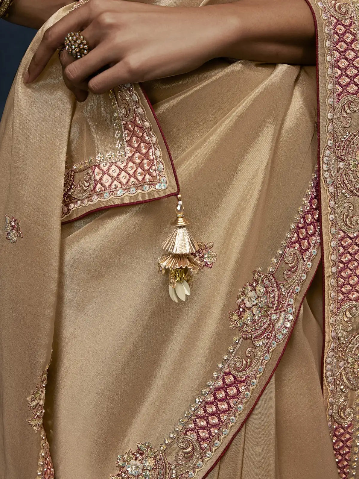 Tarani beige fancy saree closeup view showing premium embroidered border and handcrafted detailing