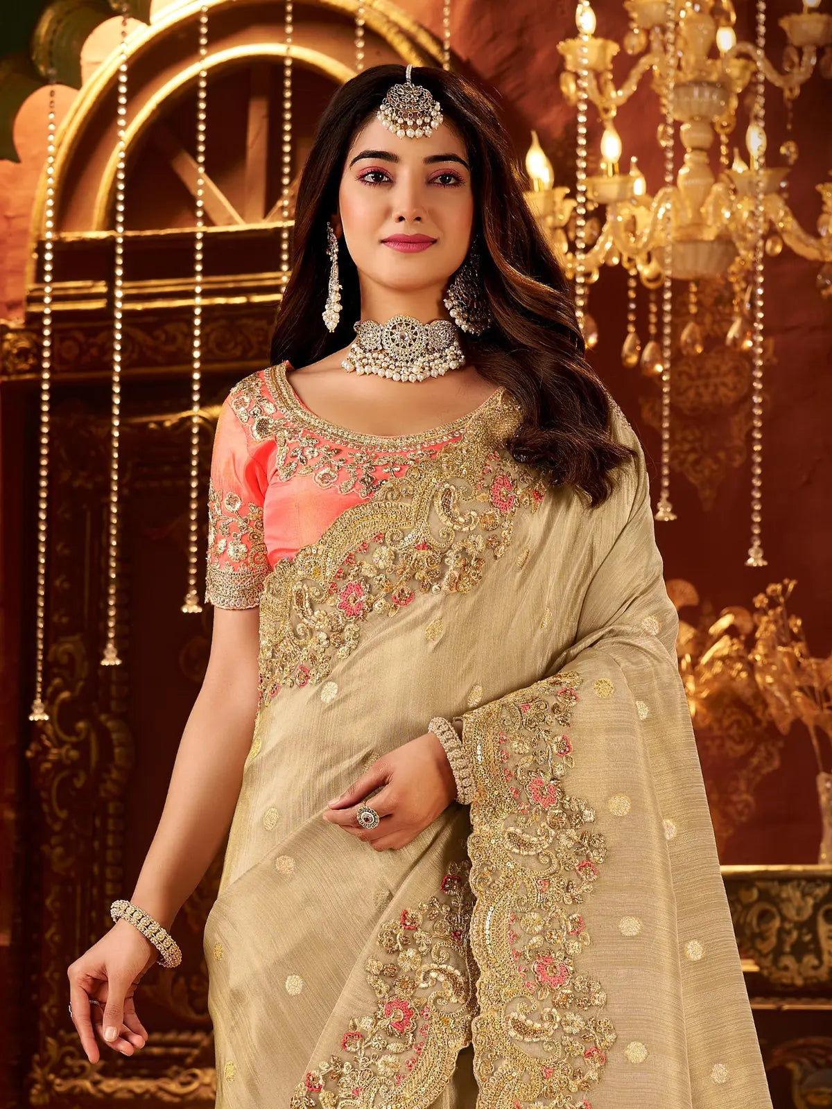 Tarani upper body view showing designer blouse and border of beige fancy saree