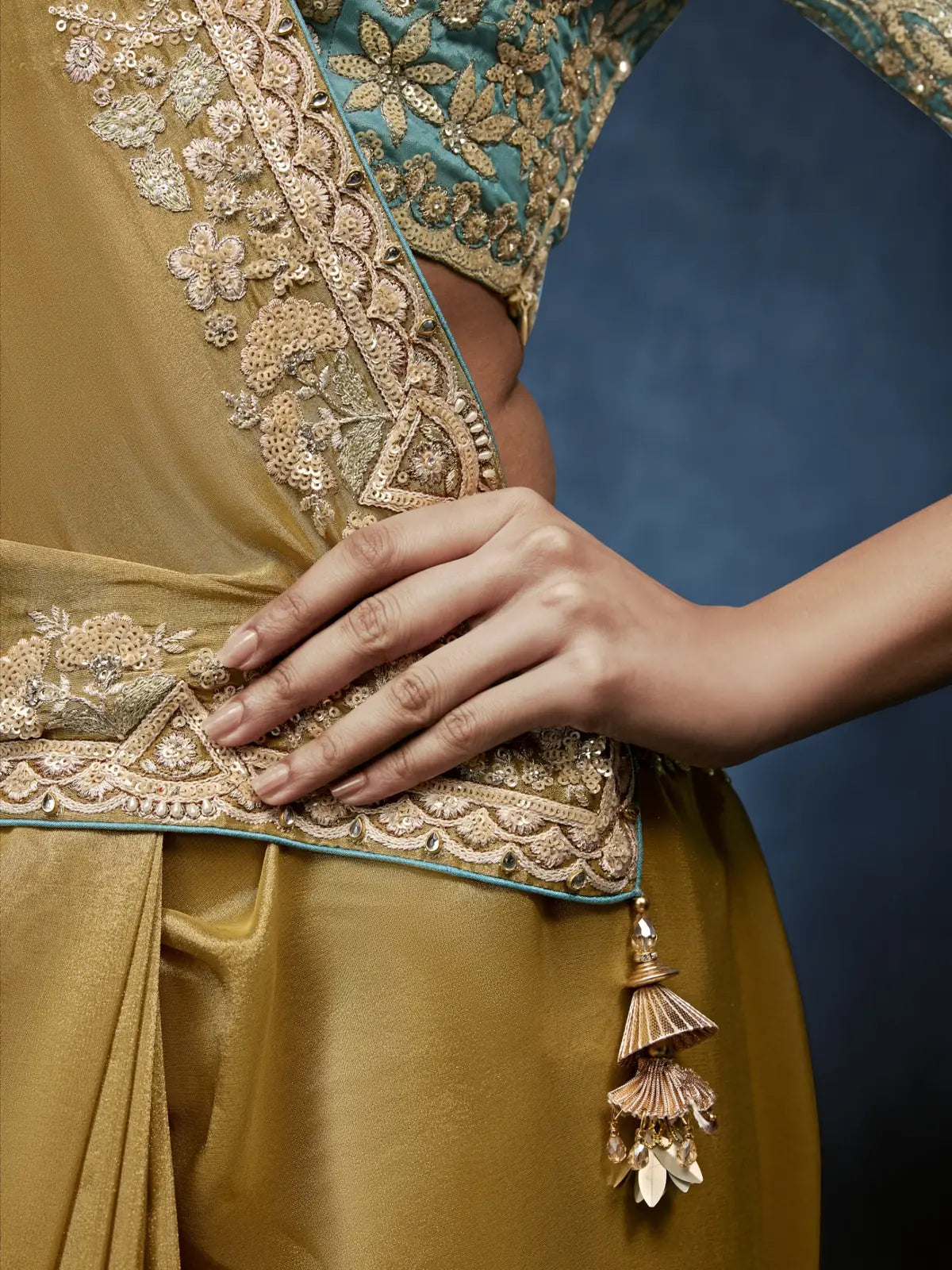 Tarani golden saree closeup view with premium embroidery border and handcrafted detailing