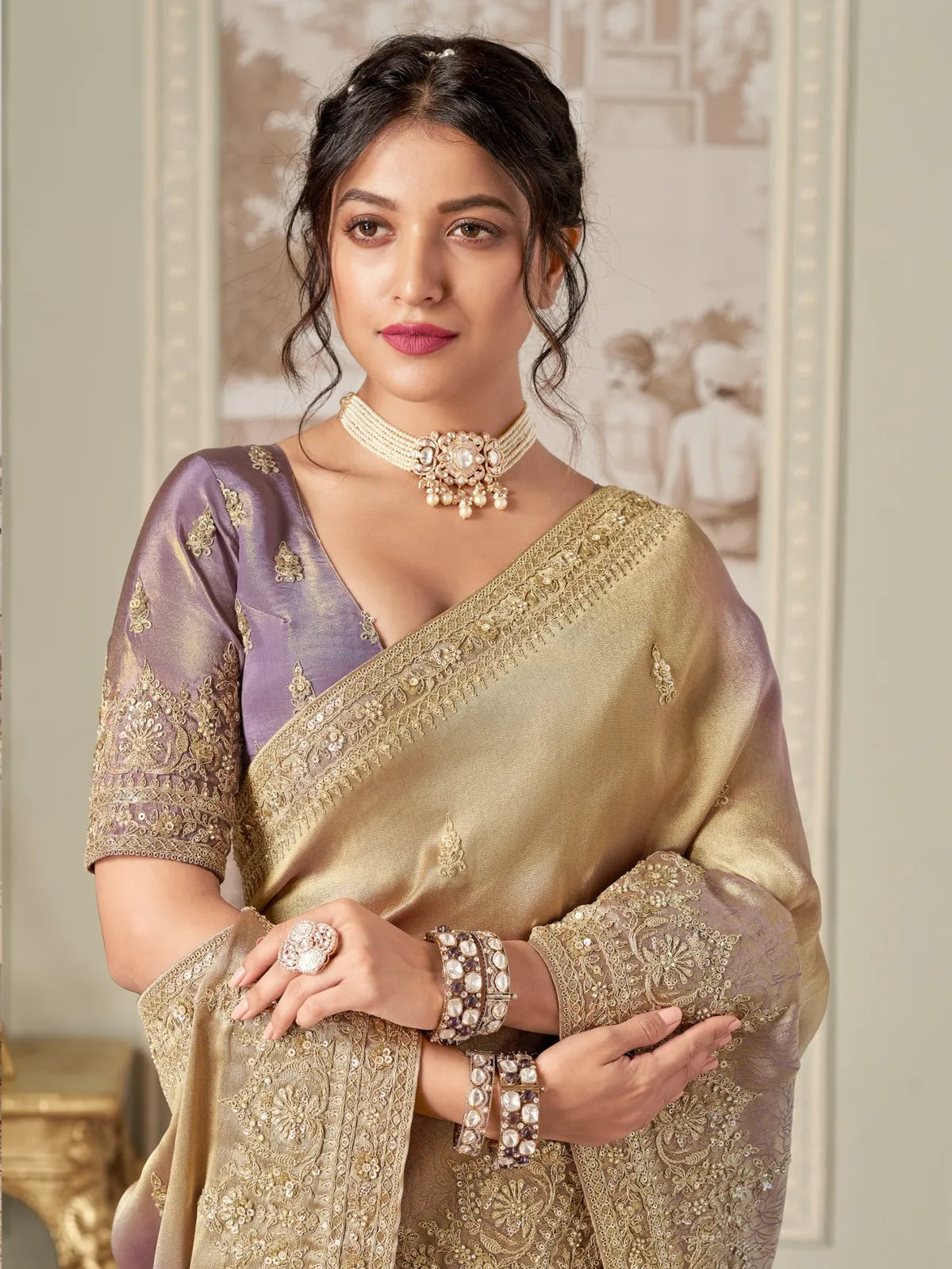 Tarani golden fancy saree upper body view with embroidered blouse sleeves and choker jewellery
