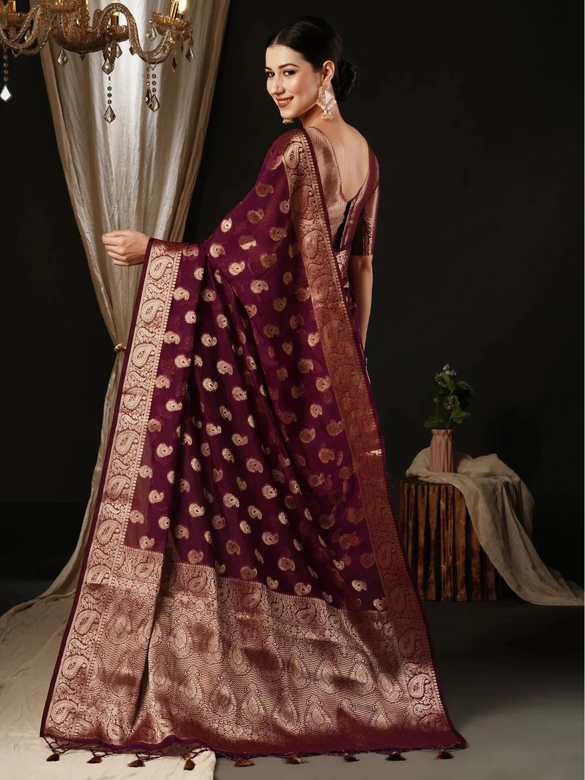 Tarani georgette maroon saree back view with intricate zari border