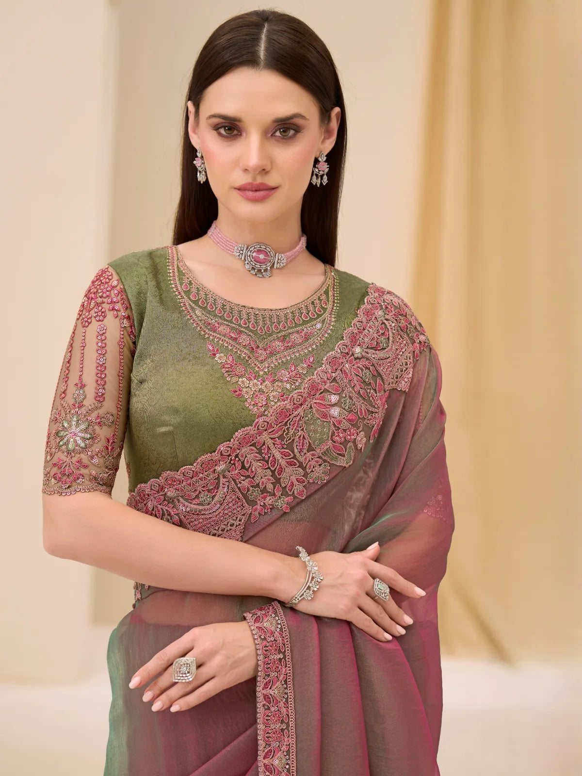 Tarani Dhanashree saree upper body view showing embroidered border and blouse
