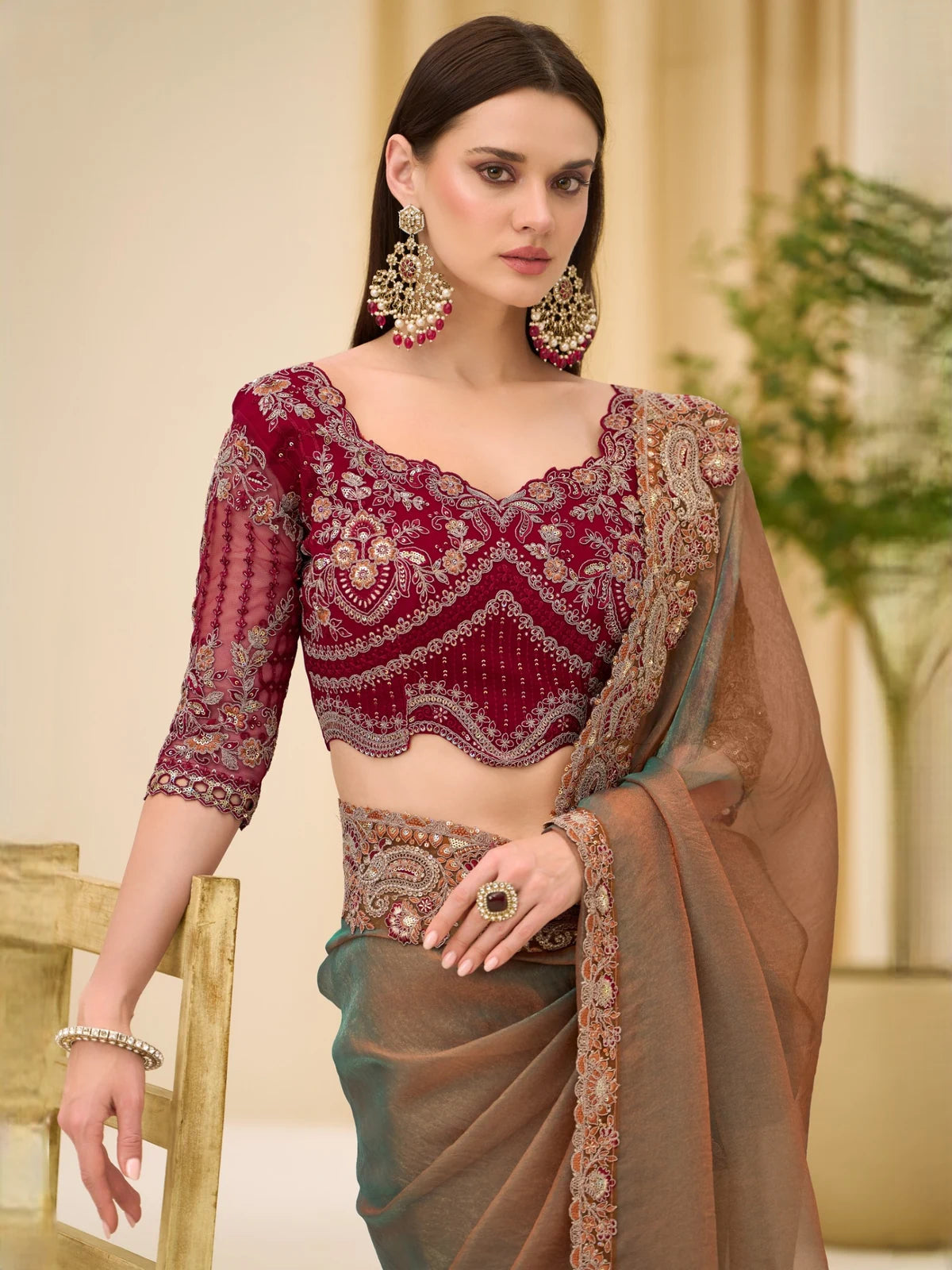 Tarani Sohamika brown dual shade georgette tissue saree front view with embroidery work