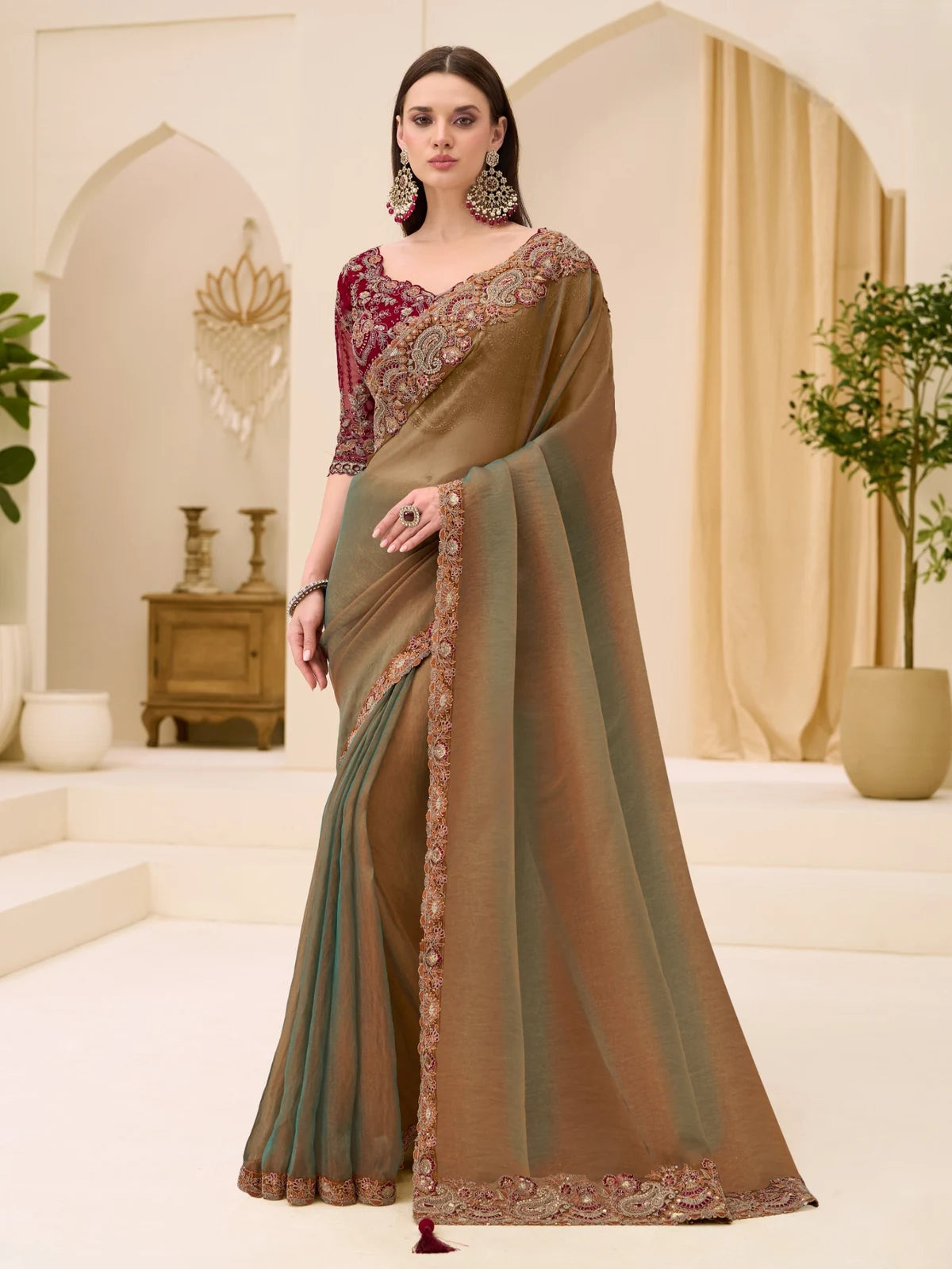 Tarani Sohamika brown dual shade georgette tissue saree full view with embroidered border and work blouse