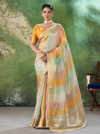 Ayati Linen Saree