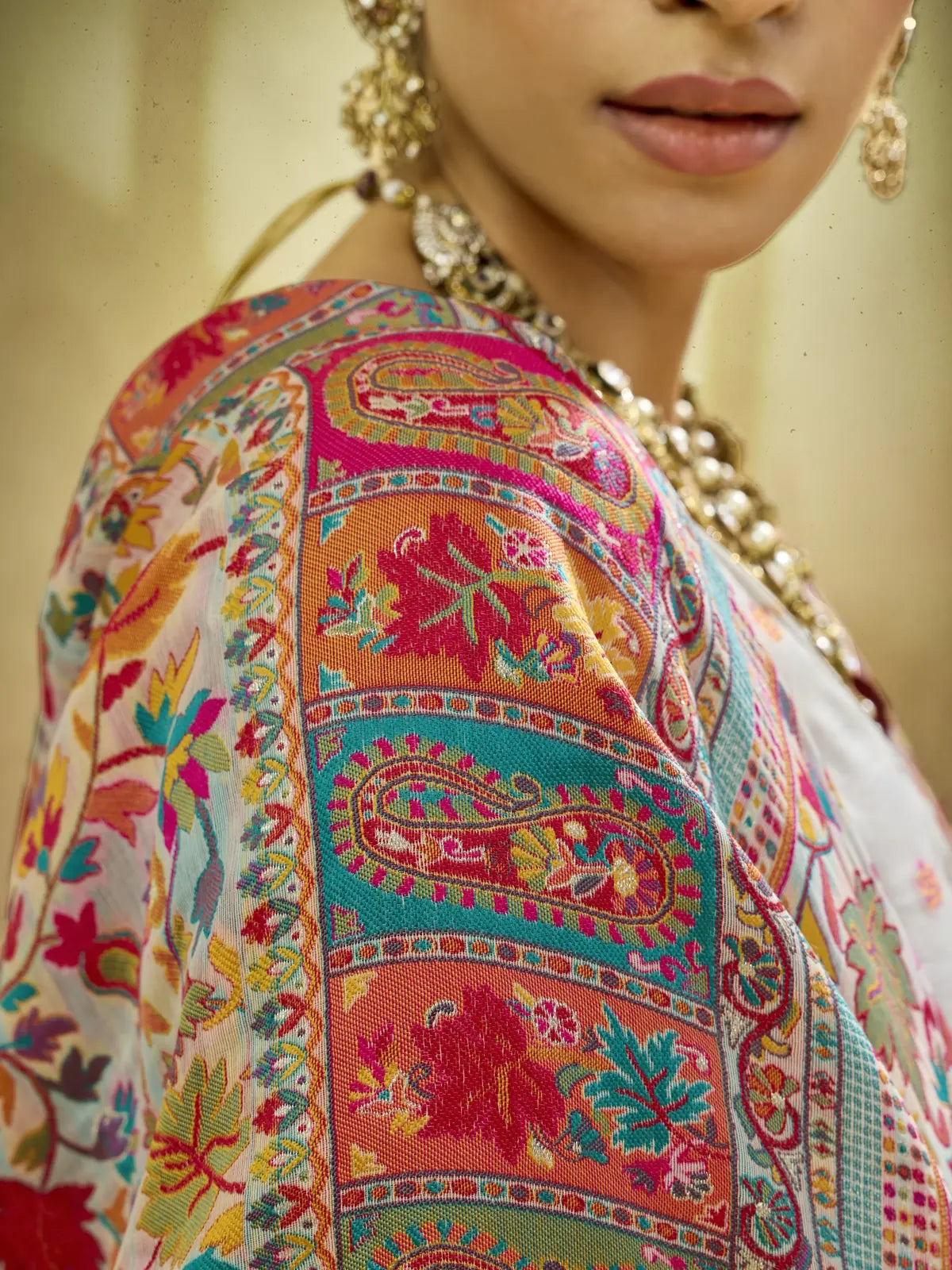 Tarani Harshika beige modal cotton pashmina saree closeup showing multicolor woven border