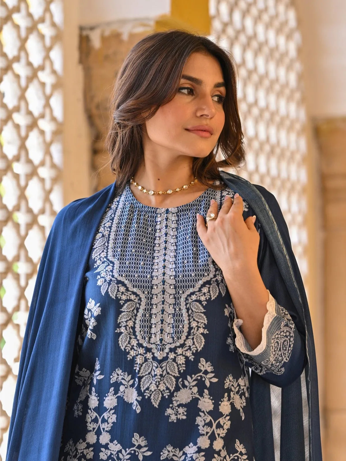 Tarani embroidered navy muslin dress upper body closeup with elegant neckline and sleeve