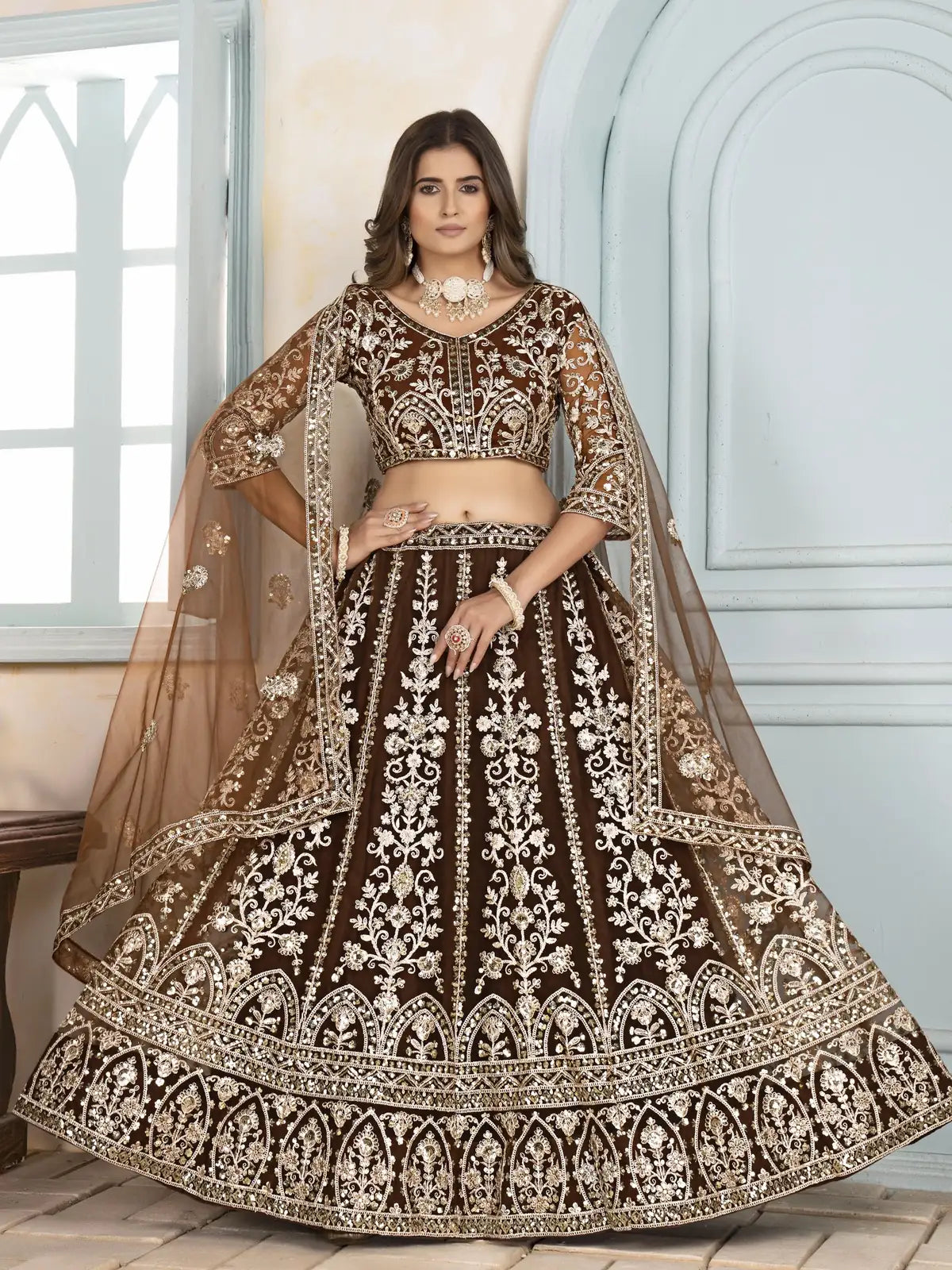 Tarani brown net lehenga full view with heavy embroidery and dupatta